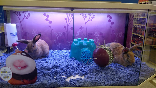 Pet Supply Store «PetSmart», reviews and photos, 466 S Watson Rd, Buckeye, AZ 85326, USA