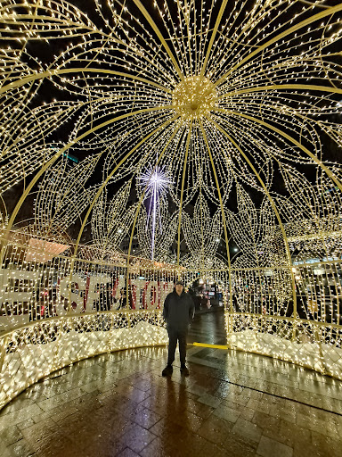 Park «Westlake Park», reviews and photos, 401 Pine St, Seattle, WA 98101, USA