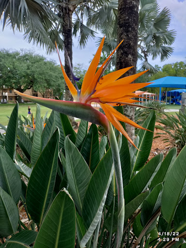 Park «Coral Gate Park», reviews and photos, Coral Lake Dr, Margate, FL 33063, USA