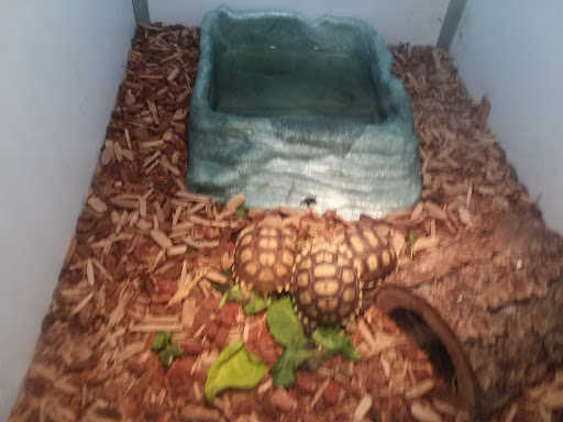 Pet Supply Store «Valley Feed», reviews and photos, 1486 Freedom Blvd, Watsonville, CA 95076, USA