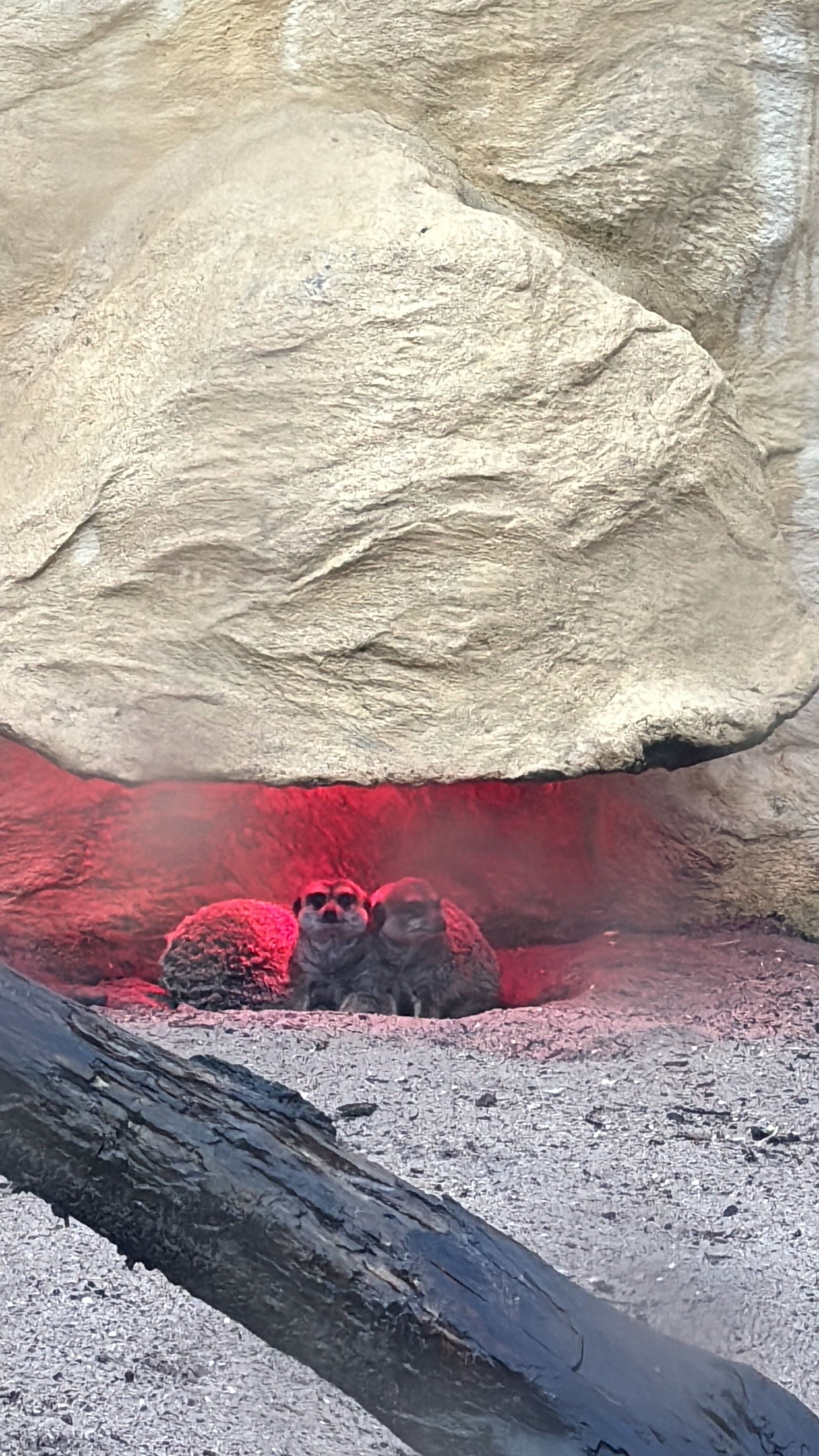 Photo n° 8 de l'avis de Eihposy. fait le 03/03/2024 à 20:54