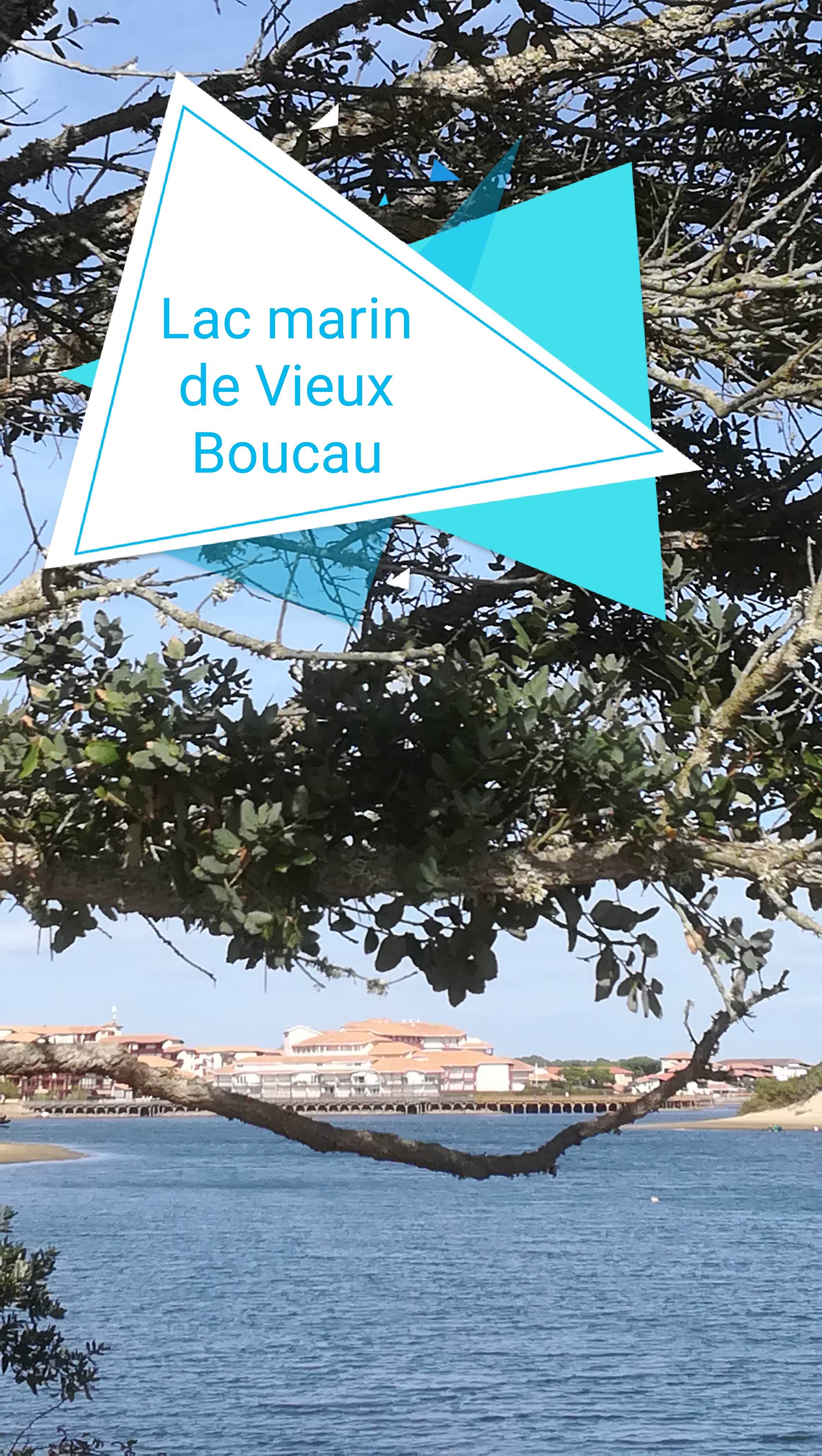 Photo n° 8 de l'avis de NOUNOU.7 fait le 21/10/2018 à 06:31