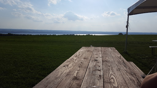 Winery «Long Point Winery», reviews and photos, 1485 Lake Rd, Aurora, NY 13026, USA