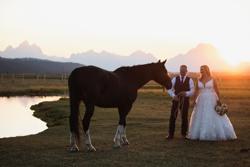 Bridal Shop «The Wedding Dress Shoppe», reviews and photos, 2516 Independence Blvd #101, Wilmington, NC 28412, USA