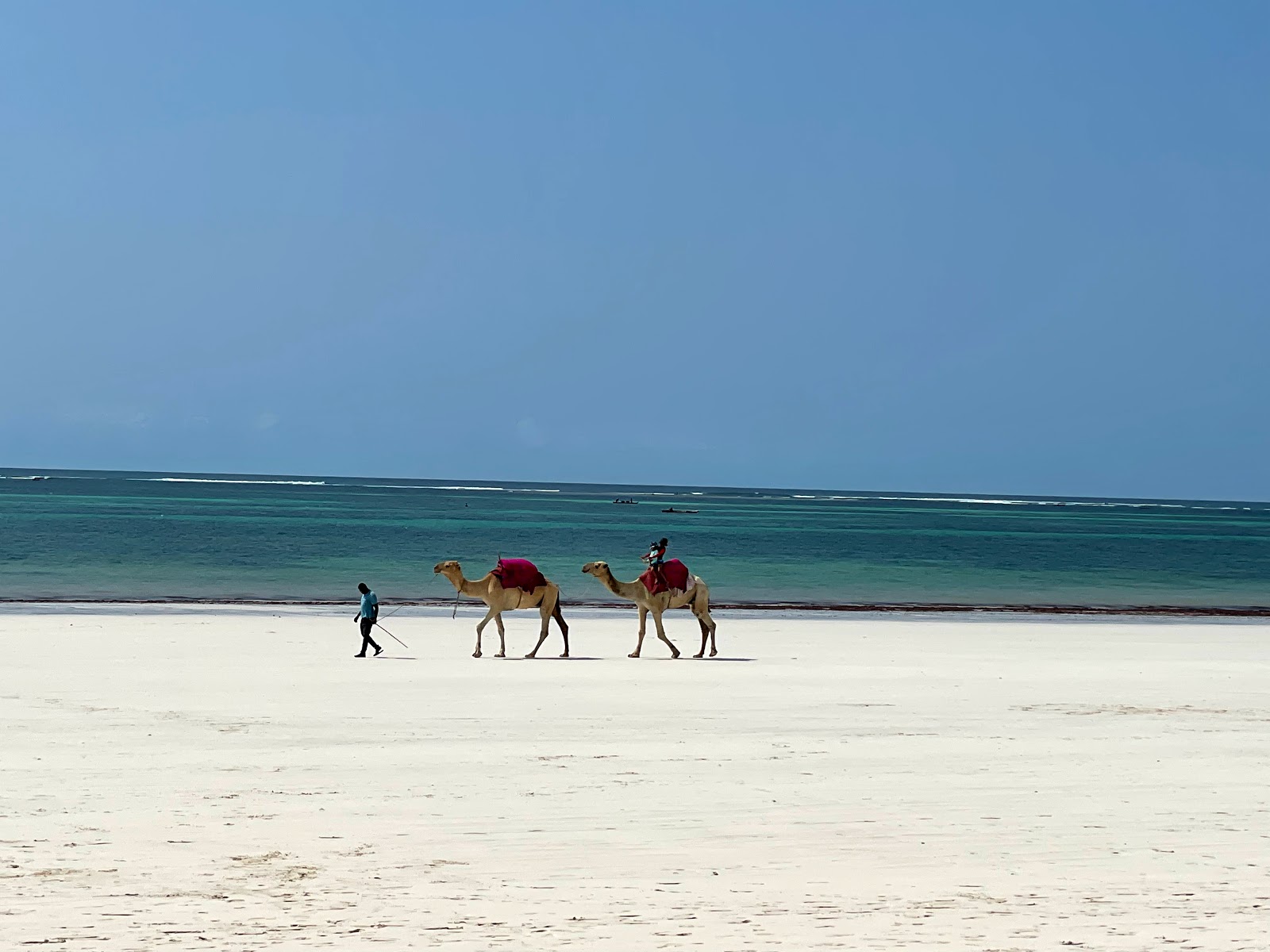 Photo of Diani Beach - popular place among relax connoisseurs