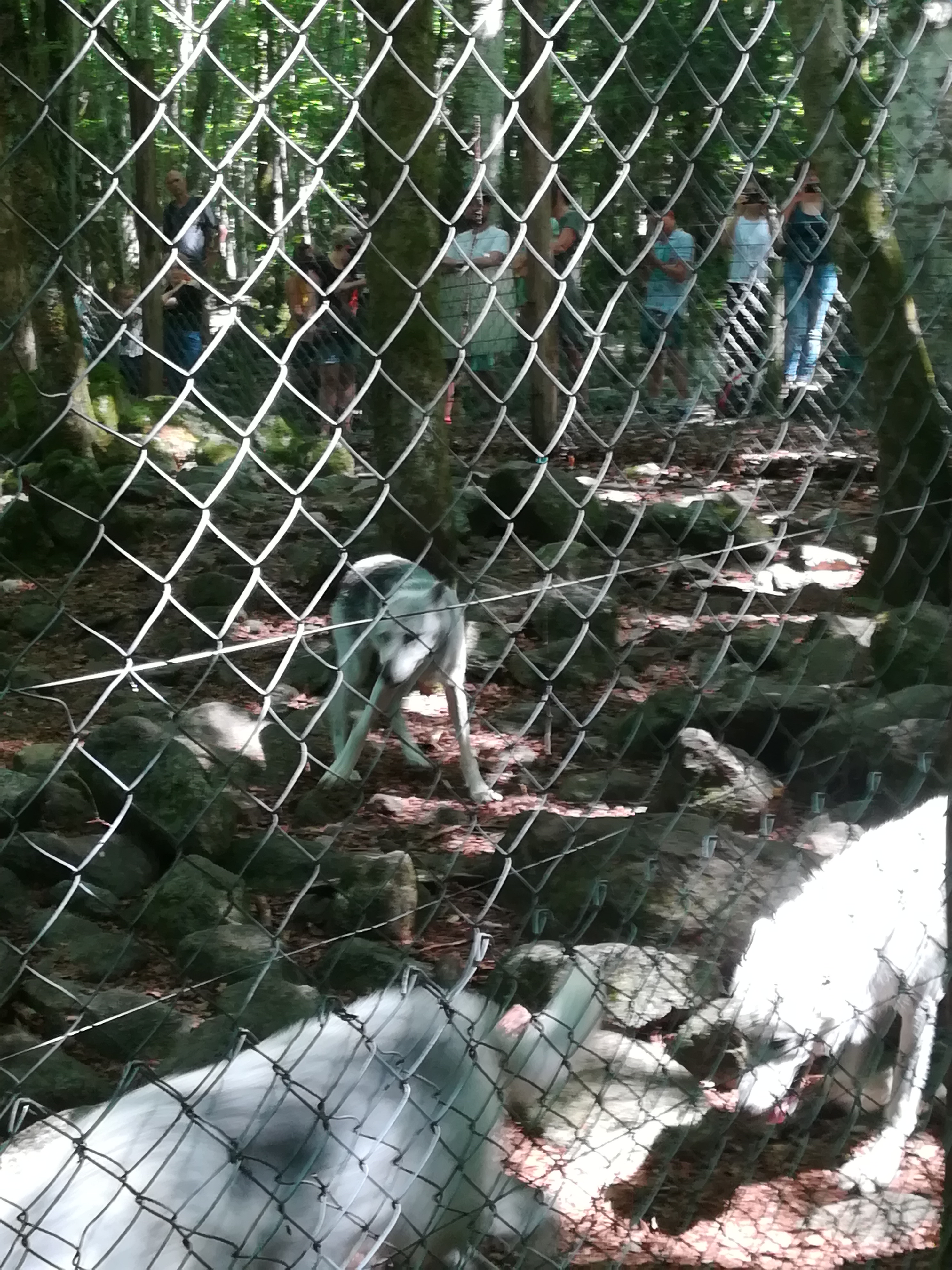 Photo n° 36 de l'avis de Audrey.� fait le 28/07/2017 à 17:11