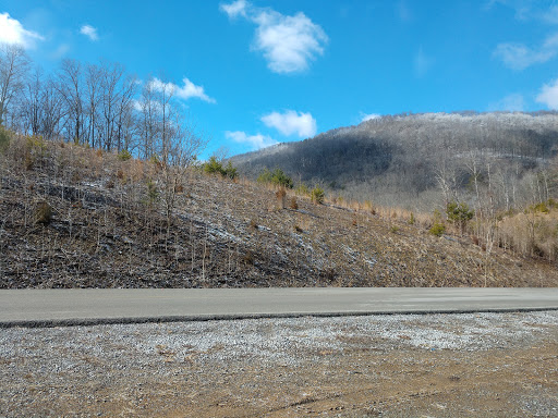 Restaurant «The Pineapple Tea Room & Coffee Shoppe», reviews and photos, 604 Colwyn St, Cumberland Gap, TN 37724, USA