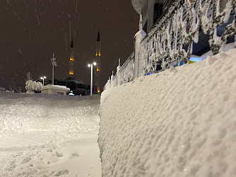 MEDICANA INTERNATIONAL İSTANBUL