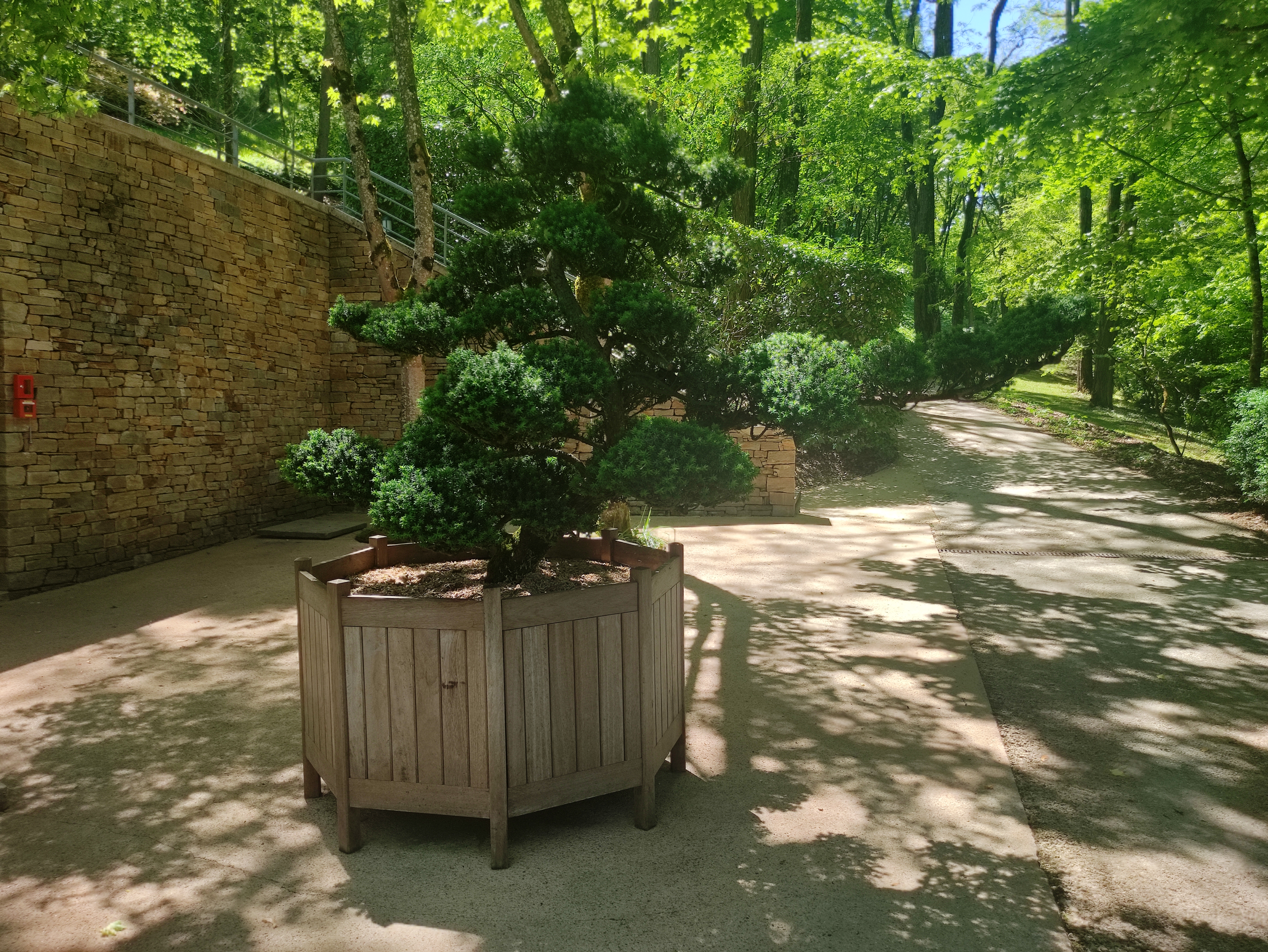 Photo n° 1 de l'avis de anne.a fait le 08/05/2021 à 14:53