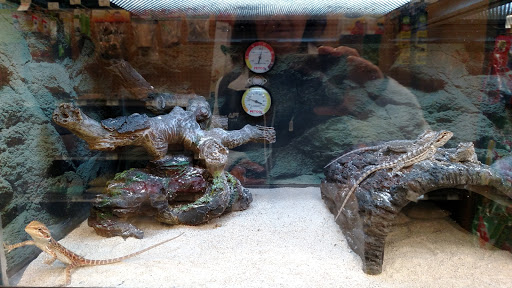 Pet Supply Store «Petco Animal Supplies», reviews and photos, 416 Crossroads Blvd, Cary, NC 27518, USA