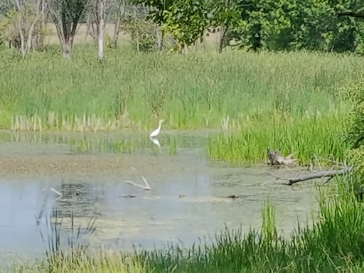 Nature Preserve «Lockport Prairie Nature Preserve», reviews and photos, Broadway St, Lockport, IL 60441, USA