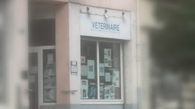 Cabinet vétérinaire du marché à Valserhône