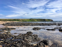 Photo de Shelly Beach situé dans une zone naturelle