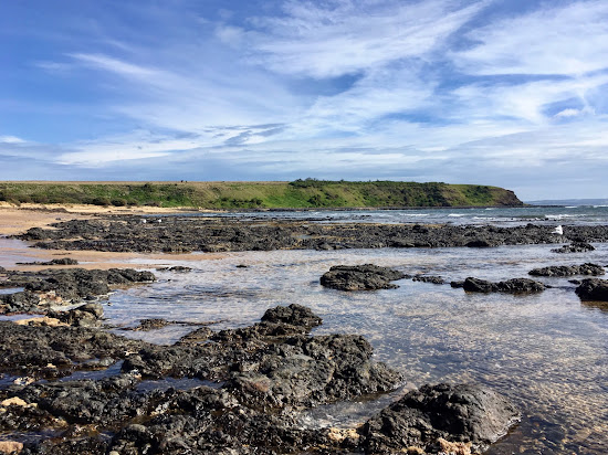 Shelly Beach