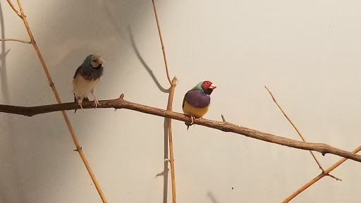 Zoo «Good Zoo & Benedum Theater», reviews and photos, 465 Lodge Dr, Wheeling, WV 26003, USA