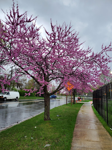 Building Materials Supplier «TW Perry - Gaithersburg», reviews and photos, 8101 Snouffer School Rd, Gaithersburg, MD 20879, USA