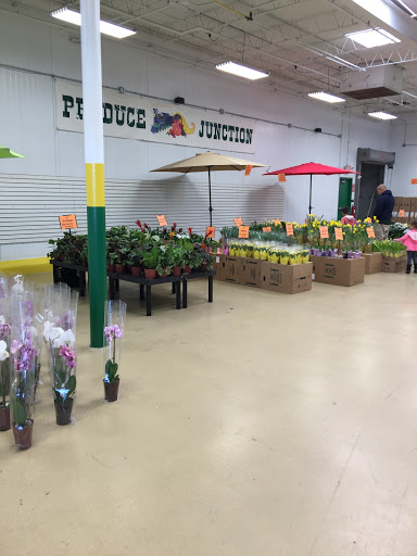 Produce Market «Produce Junction Inc», reviews and photos, 265 S Easton Rd, Glenside, PA 19038, USA