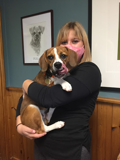 The Kingsway Animal Hospital image