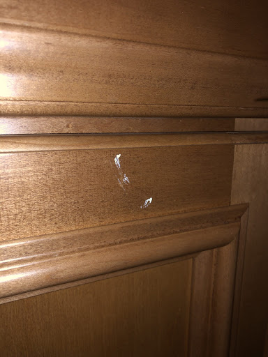 Painter «CertaPro Painters of Charlottesville», reviews and photos, 3502 Seminole Trail, Charlottesville, VA 22911, USA