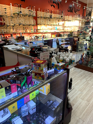 Hookah store Alexandria