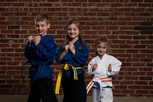 Family Martial Arts image