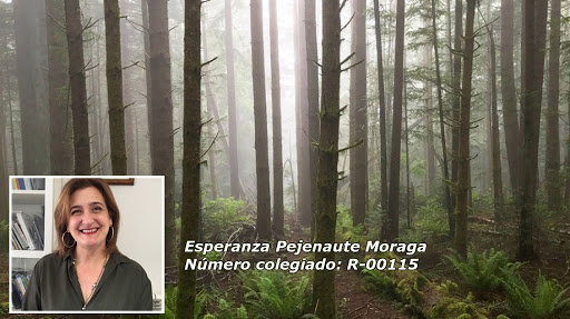 Psicologo Esperanza Pejenaute Moraga · Psicólogo Infantil - Adultos - Psicoterapia · Logroño