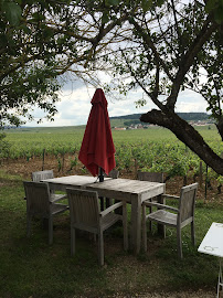 Photos du propriétaire du Restaurant français Auberge des Vignes à Volnay - n°9