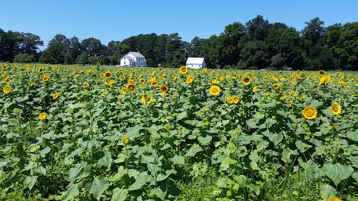 Nature Preserve «Wye Island Natural Resources Management Area», reviews and photos, 632 Wye Island Rd, Queenstown, MD 21658, USA