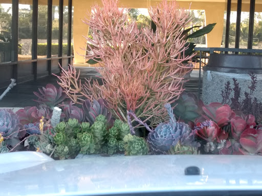 Tobacco Shop «Amsterdam Smoke Shop», reviews and photos, 5901 Warner Ave, Huntington Beach, CA 92649, USA