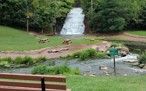 Holley Canal Falls image