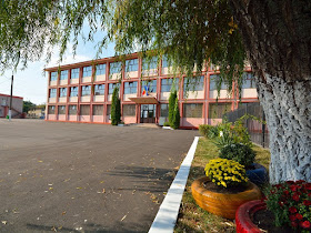 Școala Gimnazială Ion Minulescu