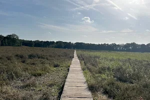 Galderse Heide image