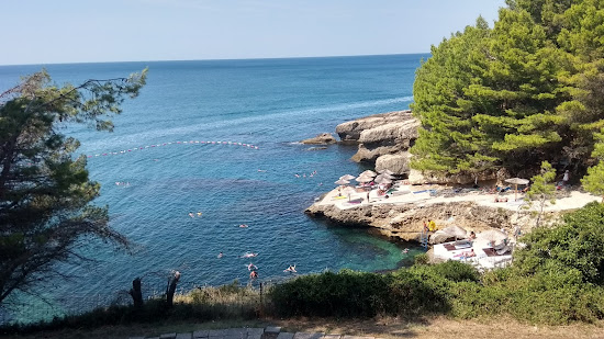 Albatros beach
