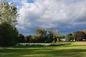 Meckauer Park image