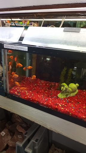 Pet Store «Southside Pet Shop», reviews and photos, 7031 Southside Dr, Louisville, KY 40214, USA
