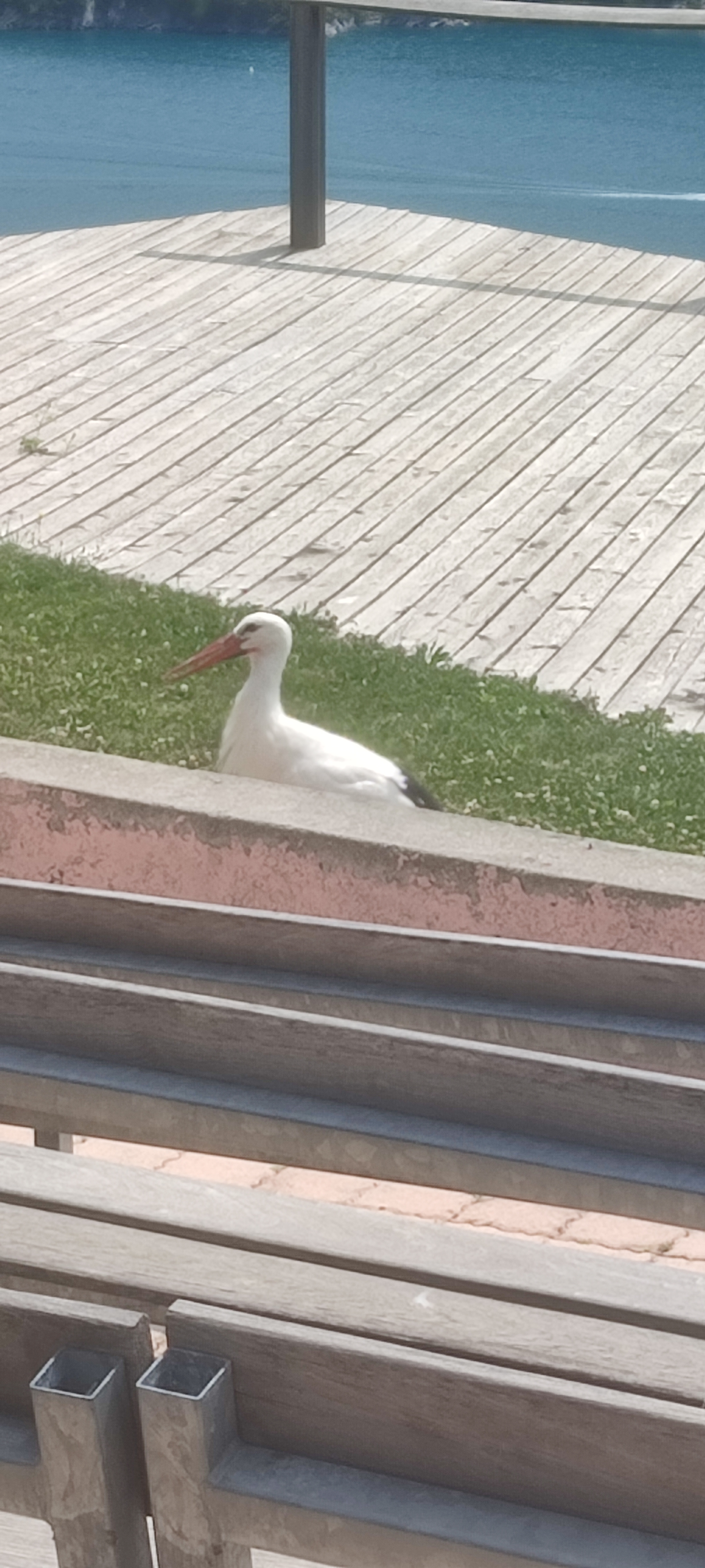 Photo n° 1 de l'avis de Sandra.o fait le 22/07/2023 à 13:04