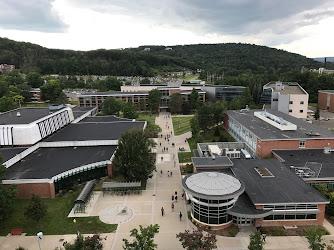 Binghamton University