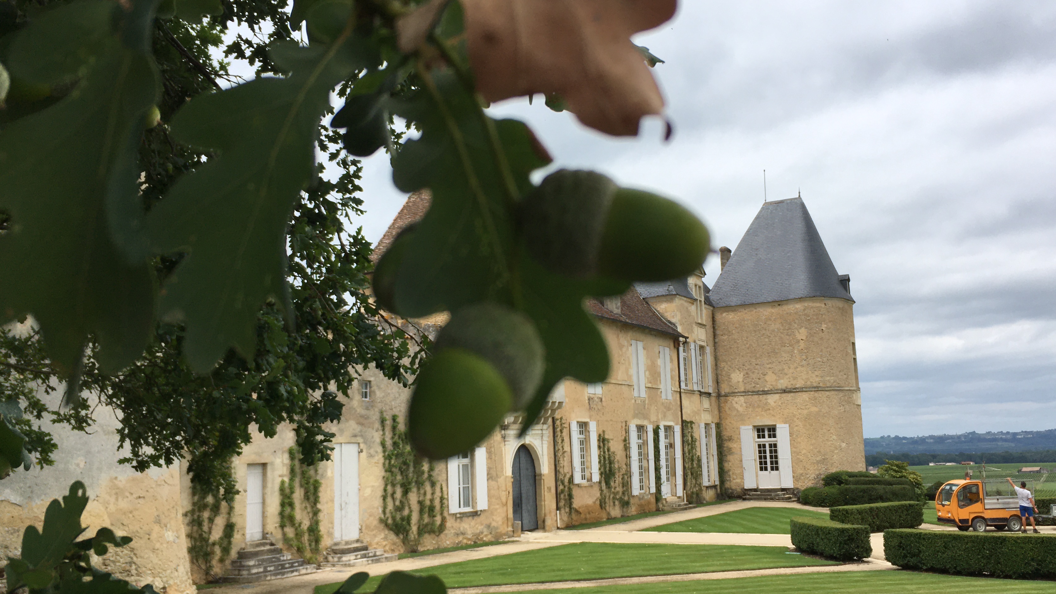 Photo n° 8 de l'avis de Roman.o fait le 08/08/2017 à 21:10