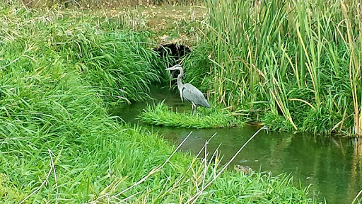 Public Golf Course «BanBury Golf Course Eagle», reviews and photos, 2626 S Marypost Pl, Eagle, ID 83616, USA