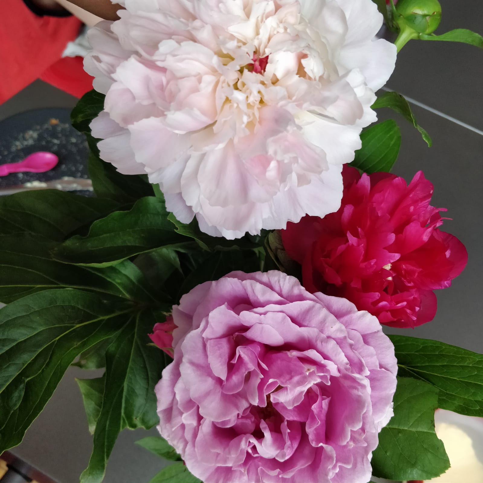 Photo n° 2 de l'avis de Louis.A fait le 27/07/2020 à 10:05