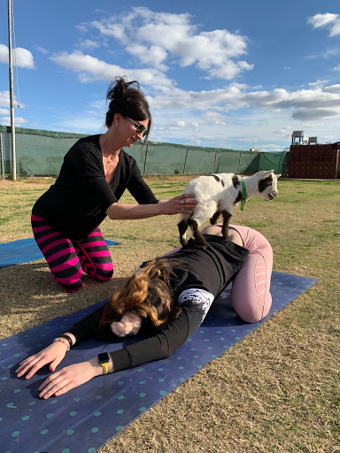Goat Yoga PHX