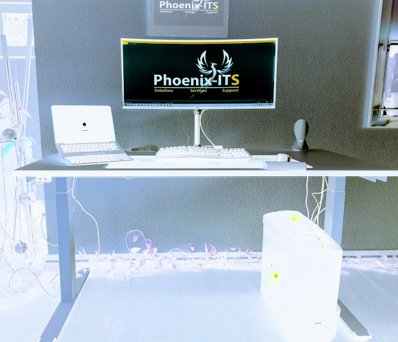 phoenix-its.ch