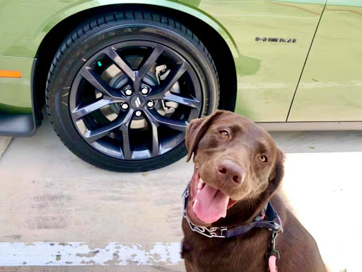 Car Dealer «San Marcos Chrysler Dodge Jeep Ram», reviews and photos, 2990 S Interstate Hwy 35, San Marcos, TX 78666, USA