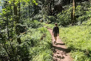 Mount Talbert Nature Park image