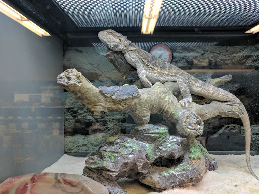 Pet Supply Store «Petco Animal Supplies», reviews and photos, 5 Bel Air S Pkwy #213B, Bel Air, MD 21014, USA