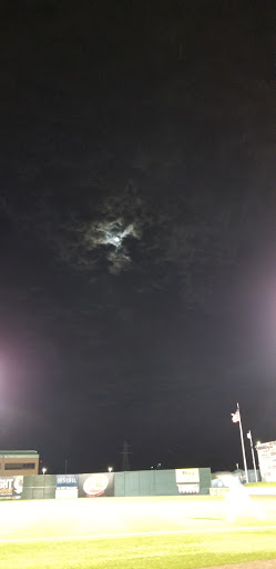 Stadium «GCS Ballpark», reviews and photos, 2301 Grizzlie Bear Blvd, Sauget, IL 62206, USA