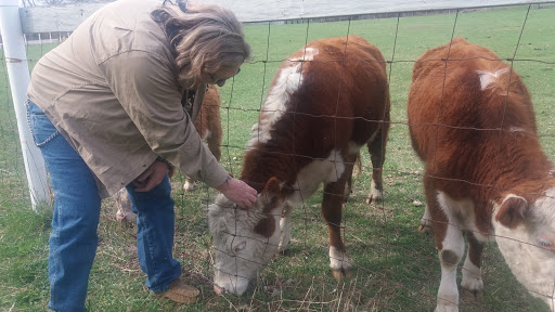 Museum «Friends of Hearthside», reviews and photos, 677 Great Rd, Lincoln, RI 02865, USA