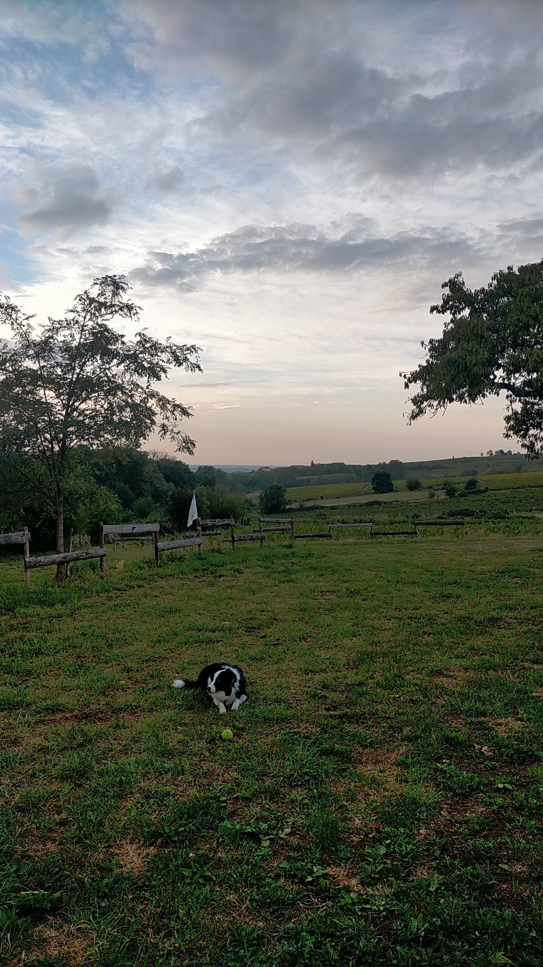 Photo n° 2 de l'avis de Denis.h fait le 17/09/2023 à 05:58
