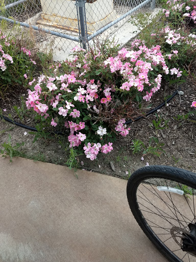 Park «Cherry Creek Valley Ecological Park», reviews and photos, 7500 S Jasper Ct, Centennial, CO 80112, USA