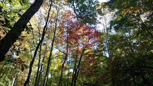 Park «Bays Mountain Park & Planetarium», reviews and photos, 853 Bays Mountain Rd, Kingsport, TN 37660, USA